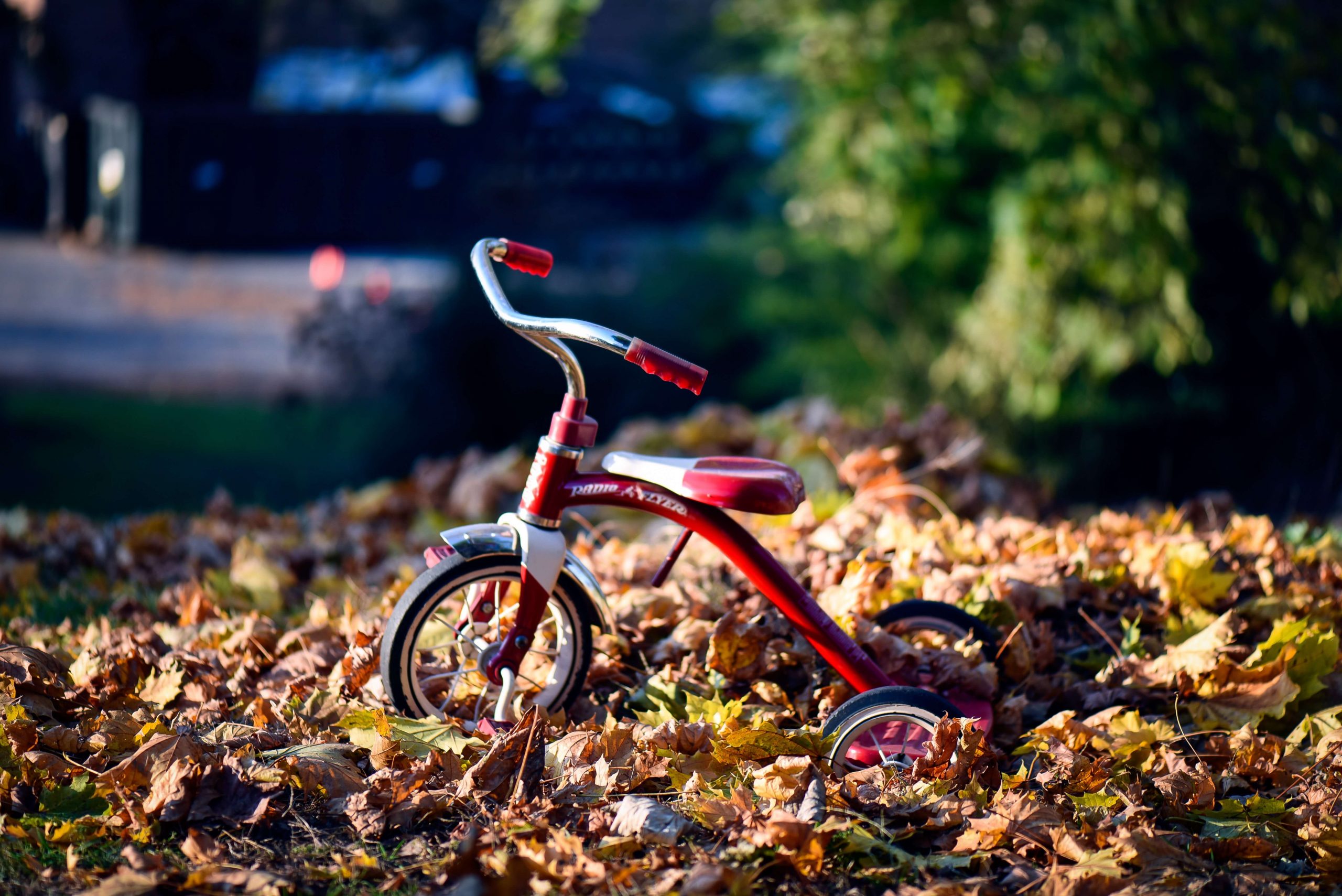 Ride on Toys for Toddlers