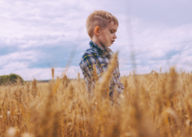 17 Best Toys and Gifts for 5 Year Old Boys
