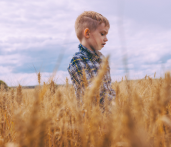 17 Best Toys and Gifts for 5 Year Old Boys